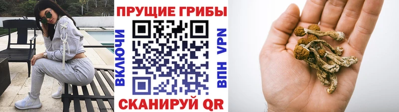 ссылка на мегу   Хвалынск  Галлюциногенные грибы Magic Shrooms 