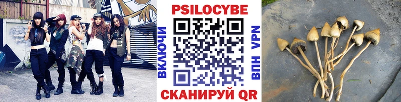 Галлюциногенные грибы мухоморы Хвалынск