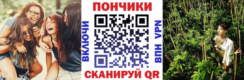 kraken   Хвалынск  Шишки марихуана семена 